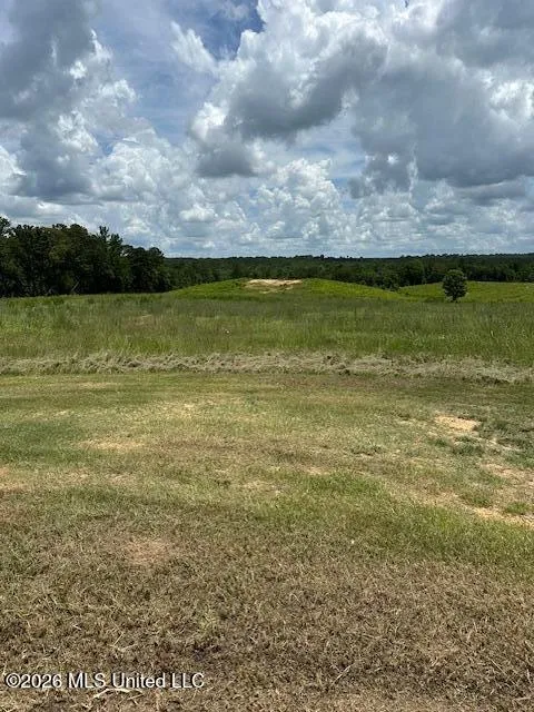 120 Eula Grayson Road