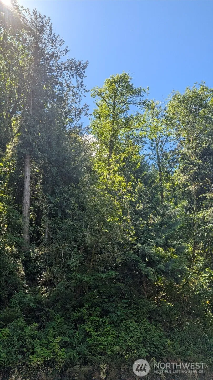 0 St. Route 508 Highway Morton, WA 98356