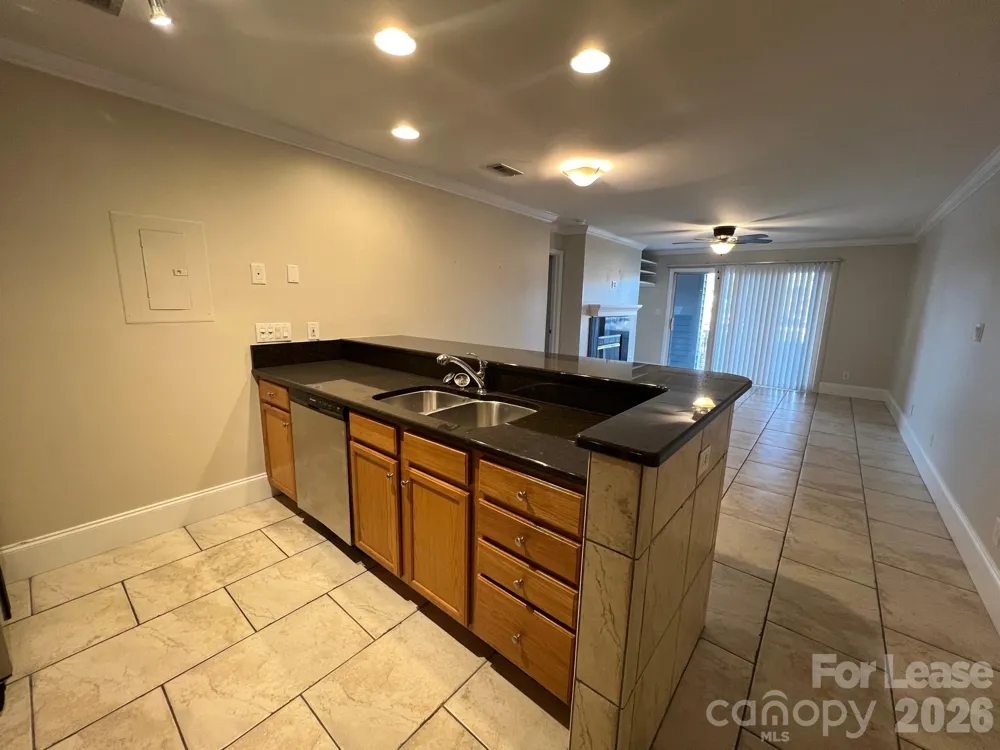 18733 Vineyard Point Lane Cornelius, NC 28031
