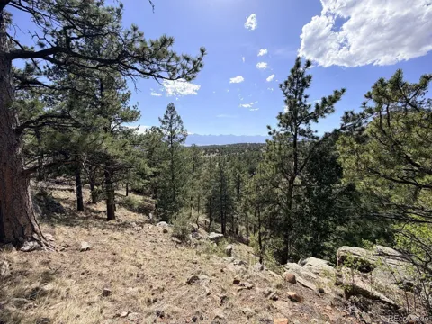 000 Schulze Ranch Rd