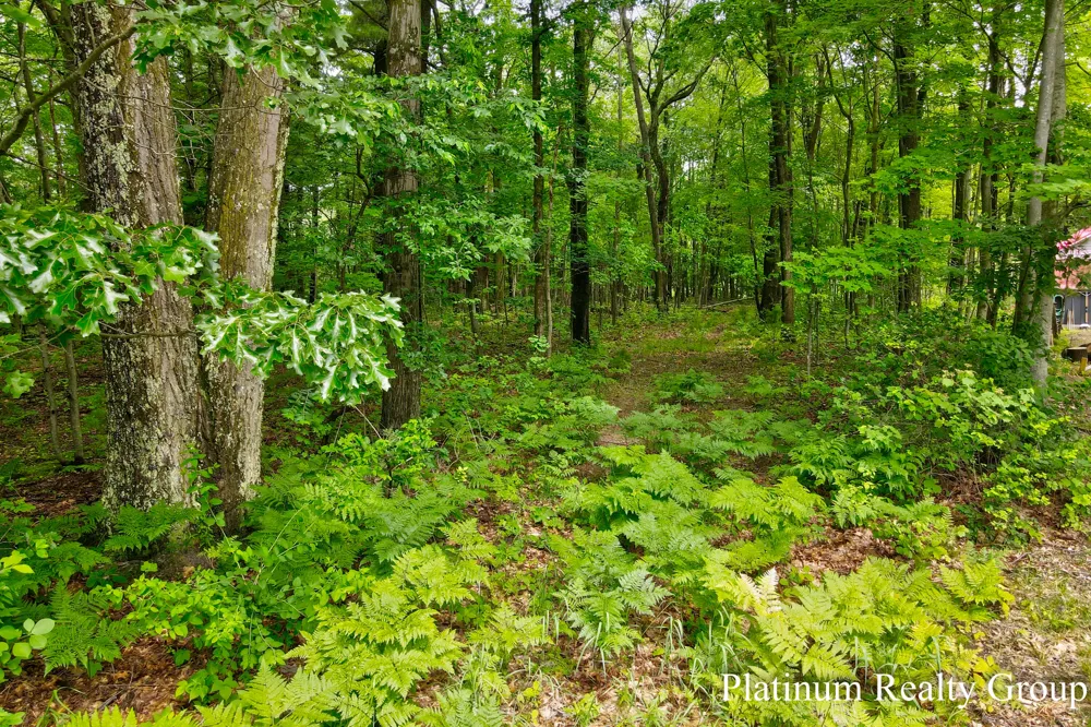 Silver Lake Road Mears, MI 49436