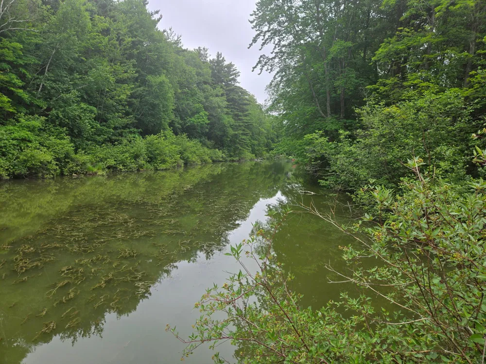Silver Lake Road Mears, MI 49436