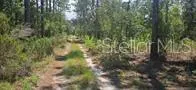 000 NE 67 STREET Bronson, FL 32621