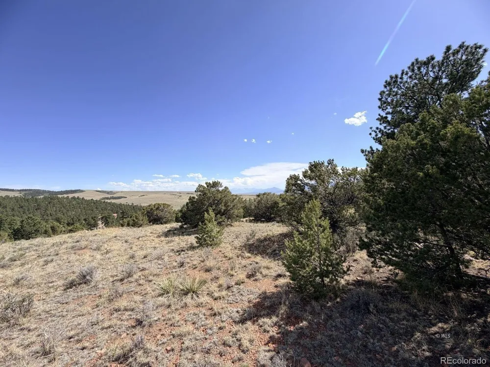 0 Schulze Ranch Rd Westcliffe, CO 81252