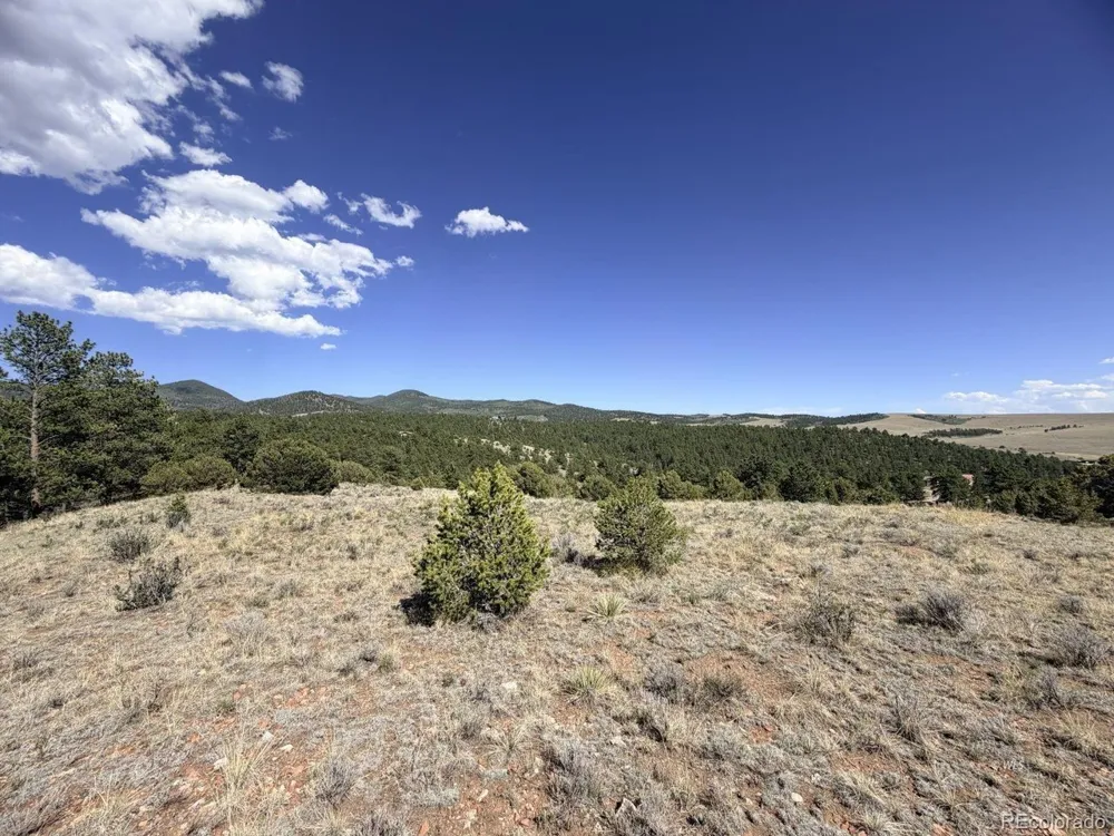 0 Schulze Ranch Rd Westcliffe, CO 81252