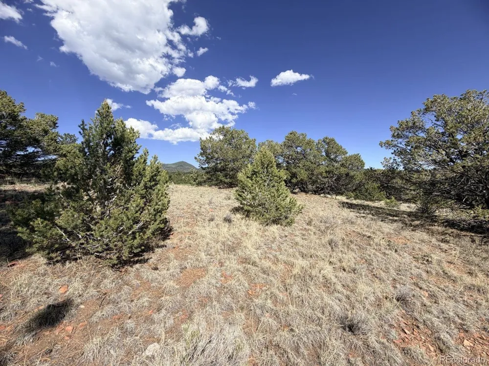 0 Schulze Ranch Rd Westcliffe, CO 81252