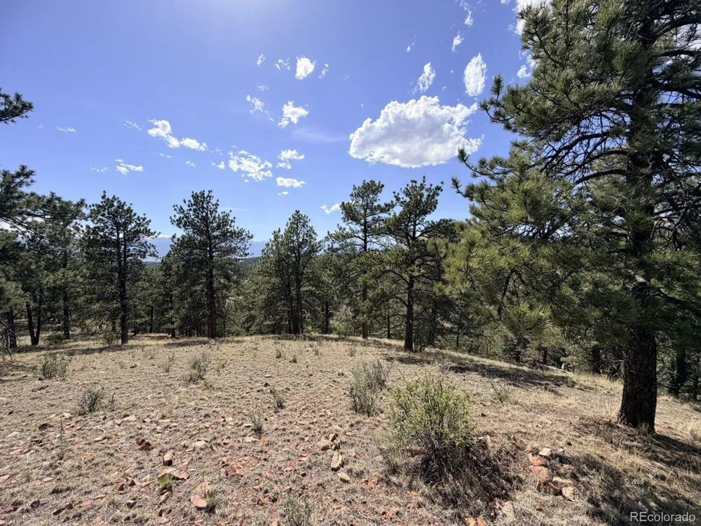 0 Schulze Ranch Rd Westcliffe, CO 81252