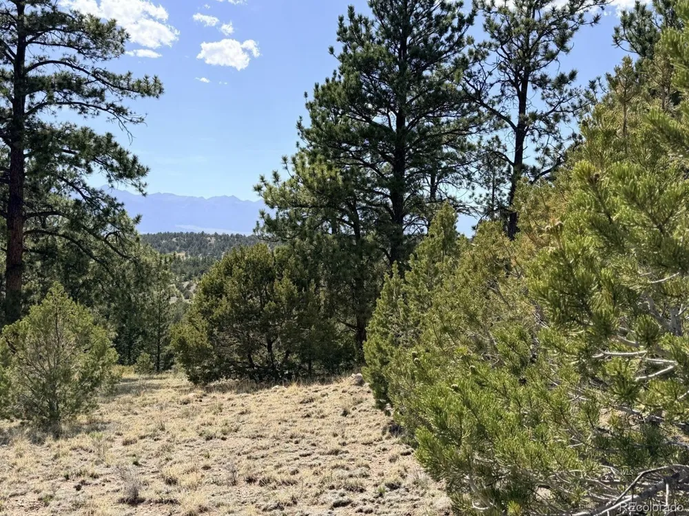 0 Schulze Ranch Rd Westcliffe, CO 81252