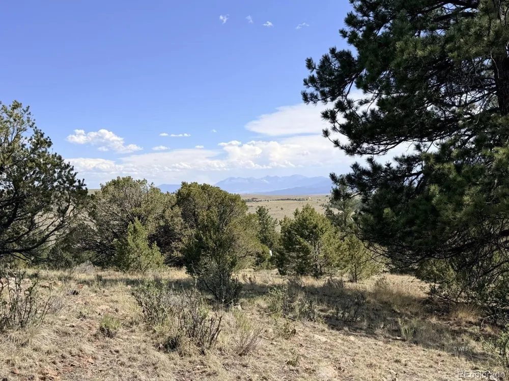 0 Schulze Ranch Rd Westcliffe, CO 81252