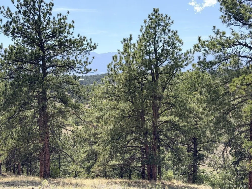 0 Schulze Ranch Rd Westcliffe, CO 81252
