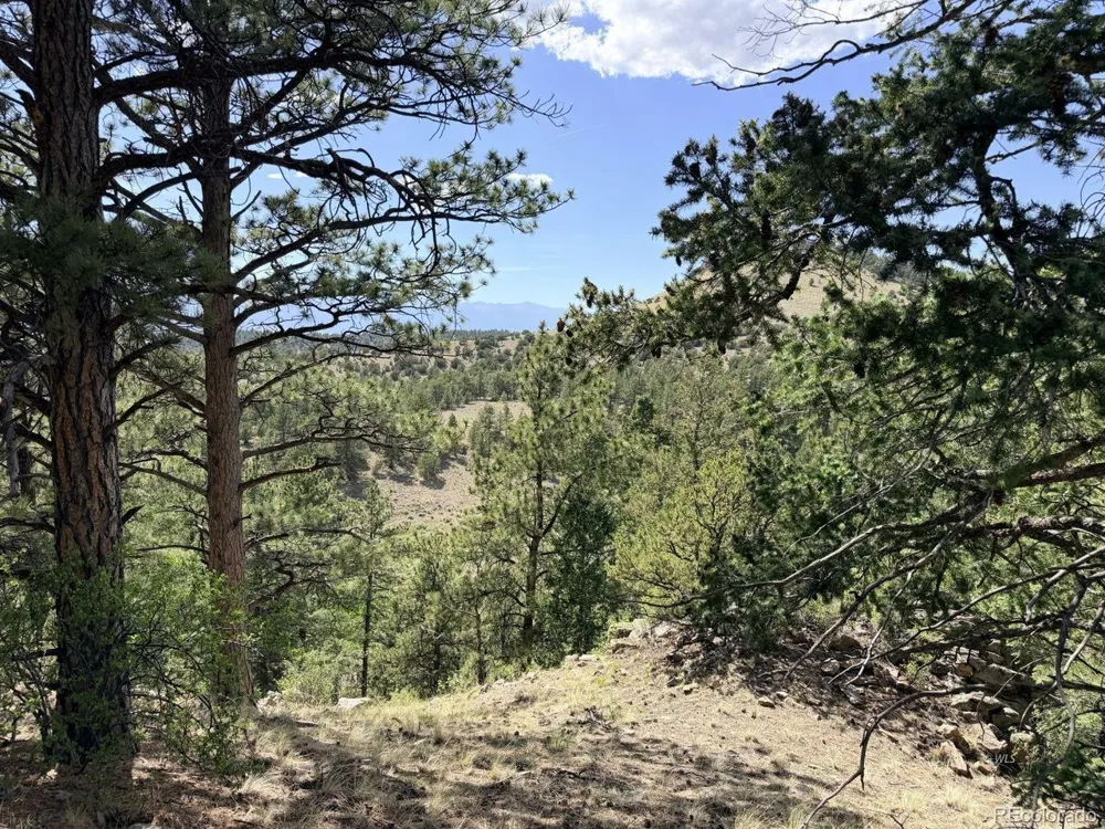 0 Schulze Ranch Rd Westcliffe, CO 81252