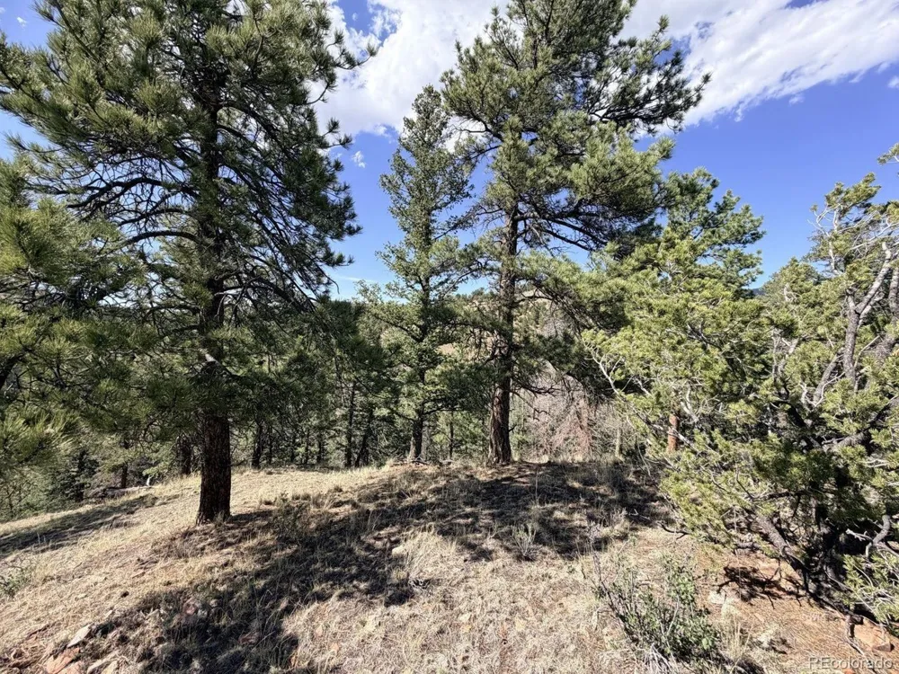 0 Schulze Ranch Rd Westcliffe, CO 81252