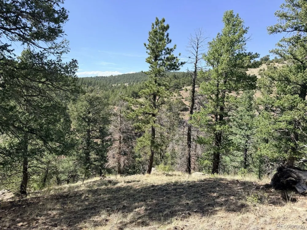 0 Schulze Ranch Rd Westcliffe, CO 81252