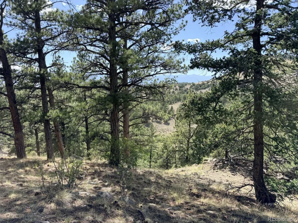 0 Schulze Ranch Rd Westcliffe, CO 81252