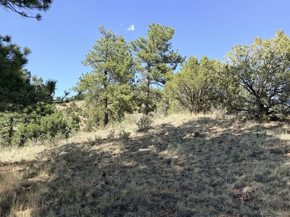 0 Schulze Ranch Rd Westcliffe, CO 81252