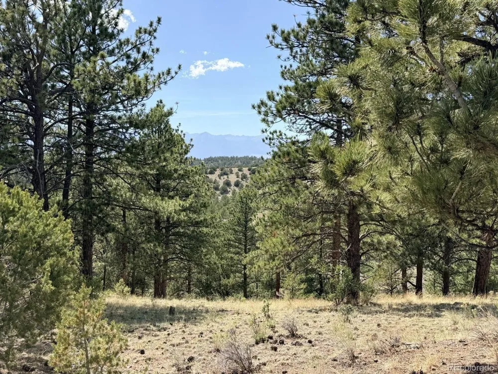 0 Schulze Ranch Rd Westcliffe, CO 81252