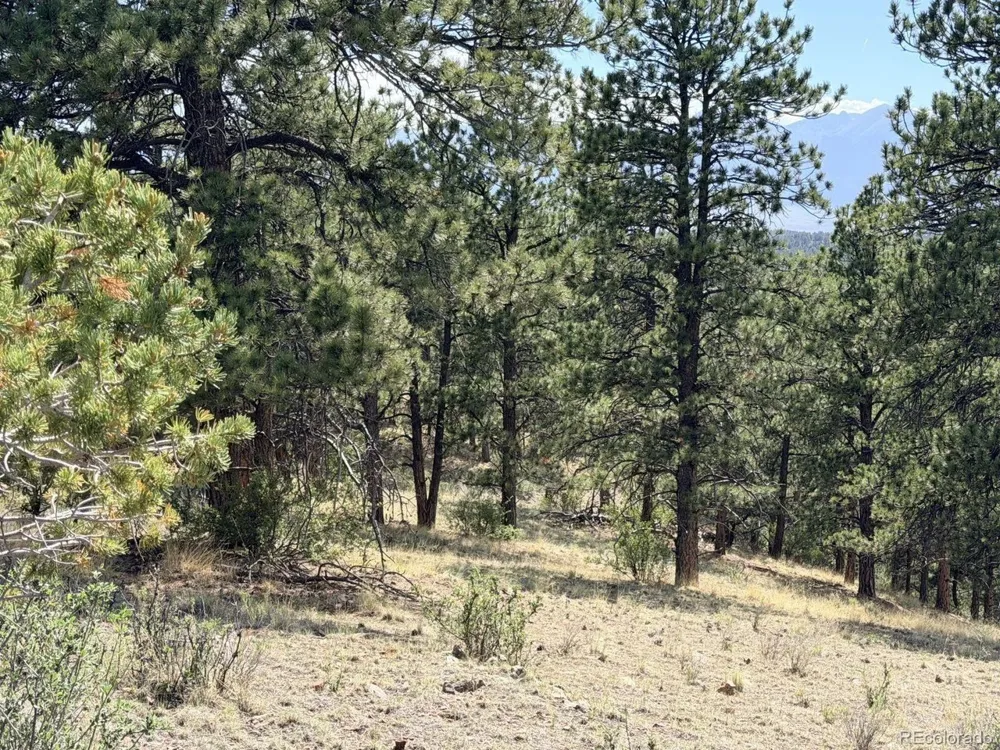 0 Schulze Ranch Rd Westcliffe, CO 81252