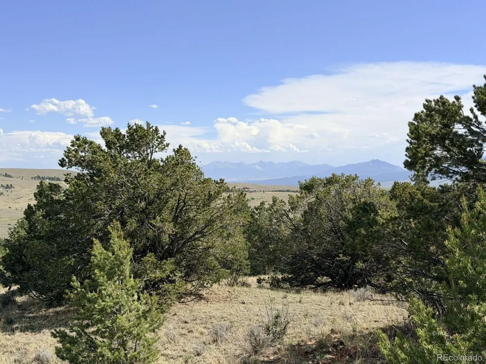 0 Schulze Ranch Rd Westcliffe, CO 81252