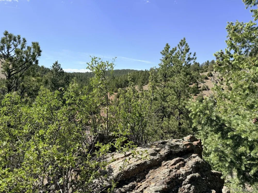 0 Schulze Ranch Rd Westcliffe, CO 81252