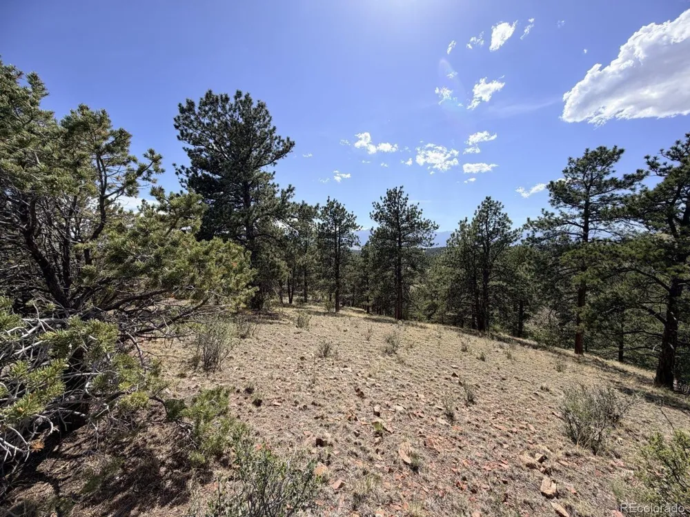 0 Schulze Ranch Rd Westcliffe, CO 81252