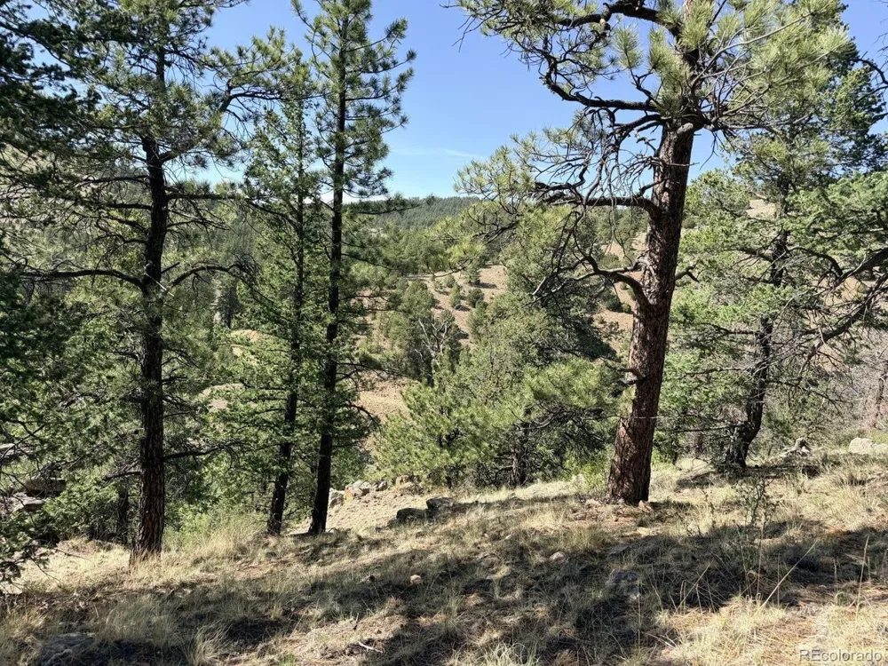 0 Schulze Ranch Rd Westcliffe, CO 81252