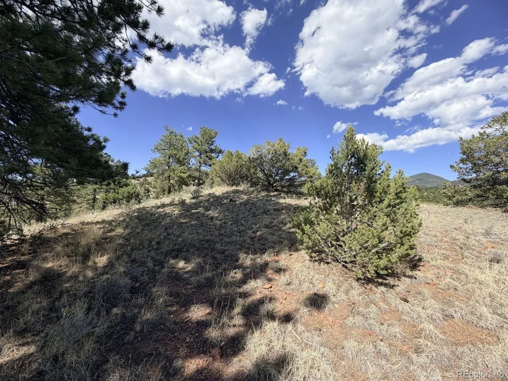0 Schulze Ranch Rd Westcliffe, CO 81252
