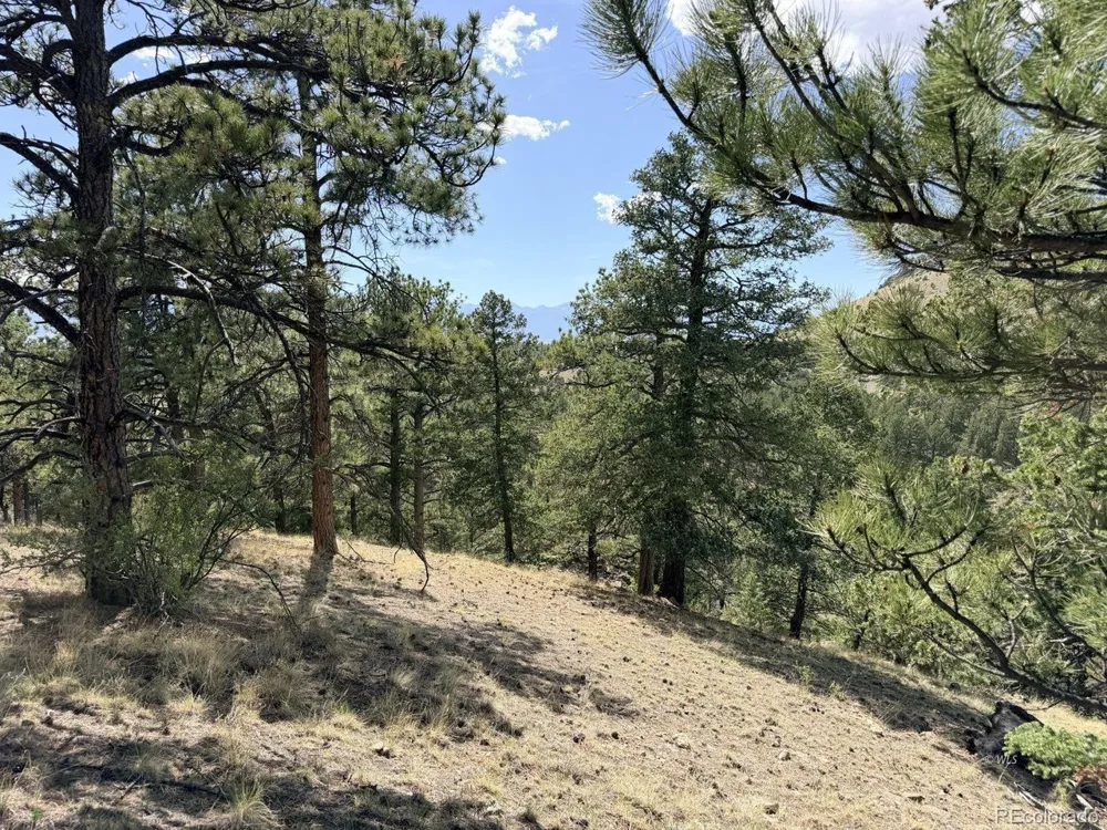 0 Schulze Ranch Rd Westcliffe, CO 81252