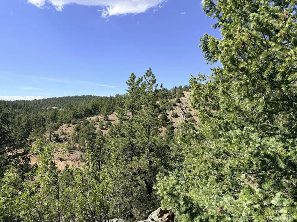 0 Schulze Ranch Rd Westcliffe, CO 81252
