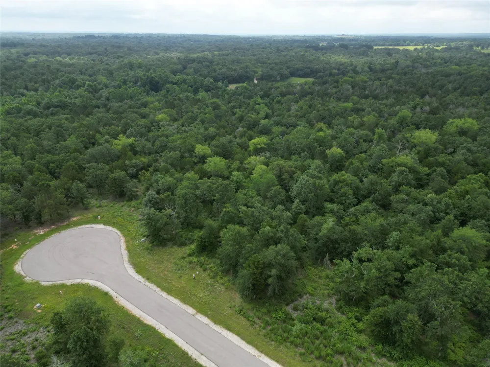 12 Fm 489 E Fairfield, TX 75840