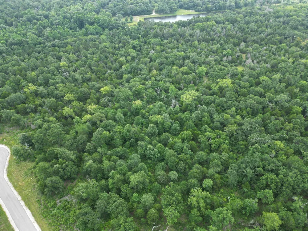 12 Fm 489 E Fairfield, TX 75840