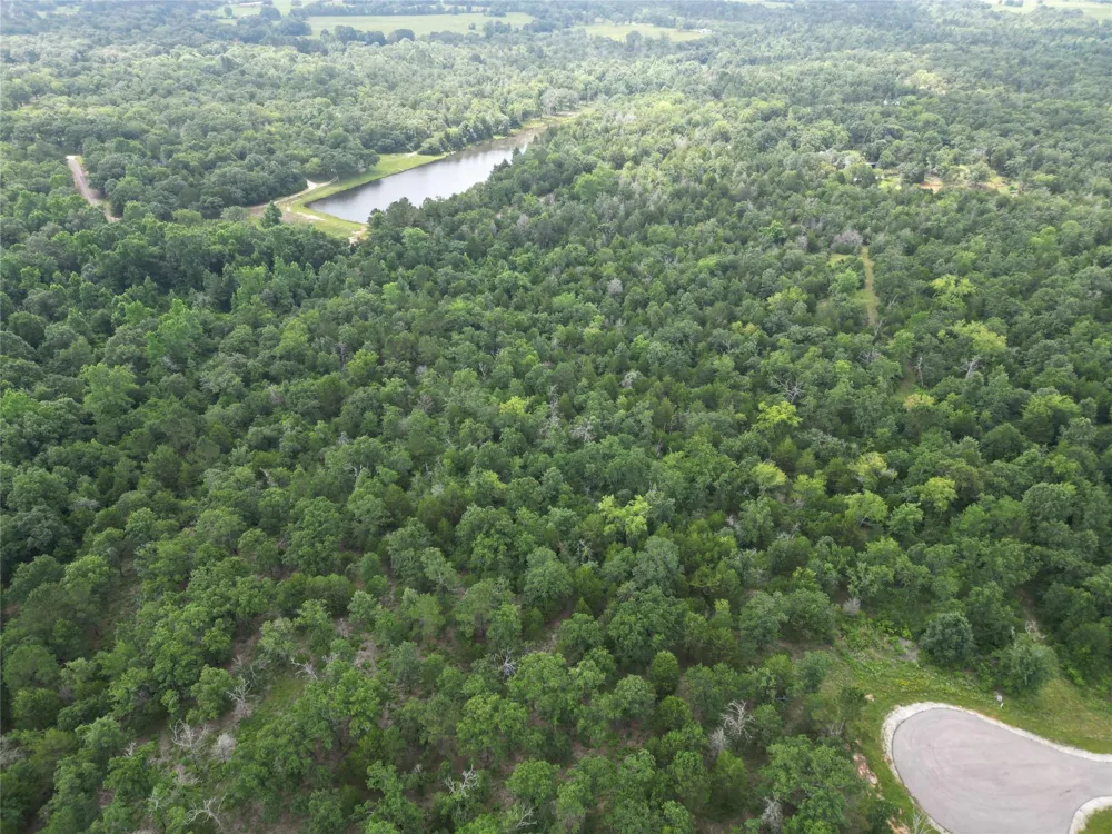 12 Fm 489 E Fairfield, TX 75840