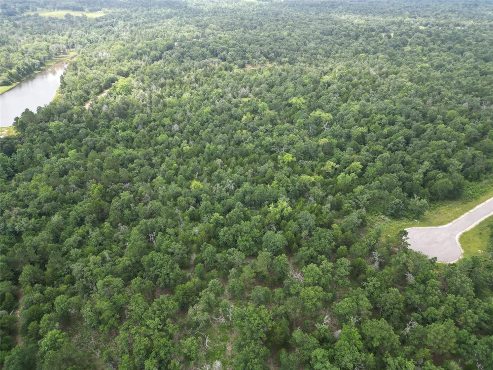 12 Fm 489 E Fairfield, TX 75840