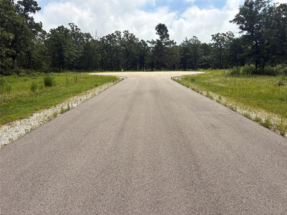 12 Fm 489 E Fairfield, TX 75840