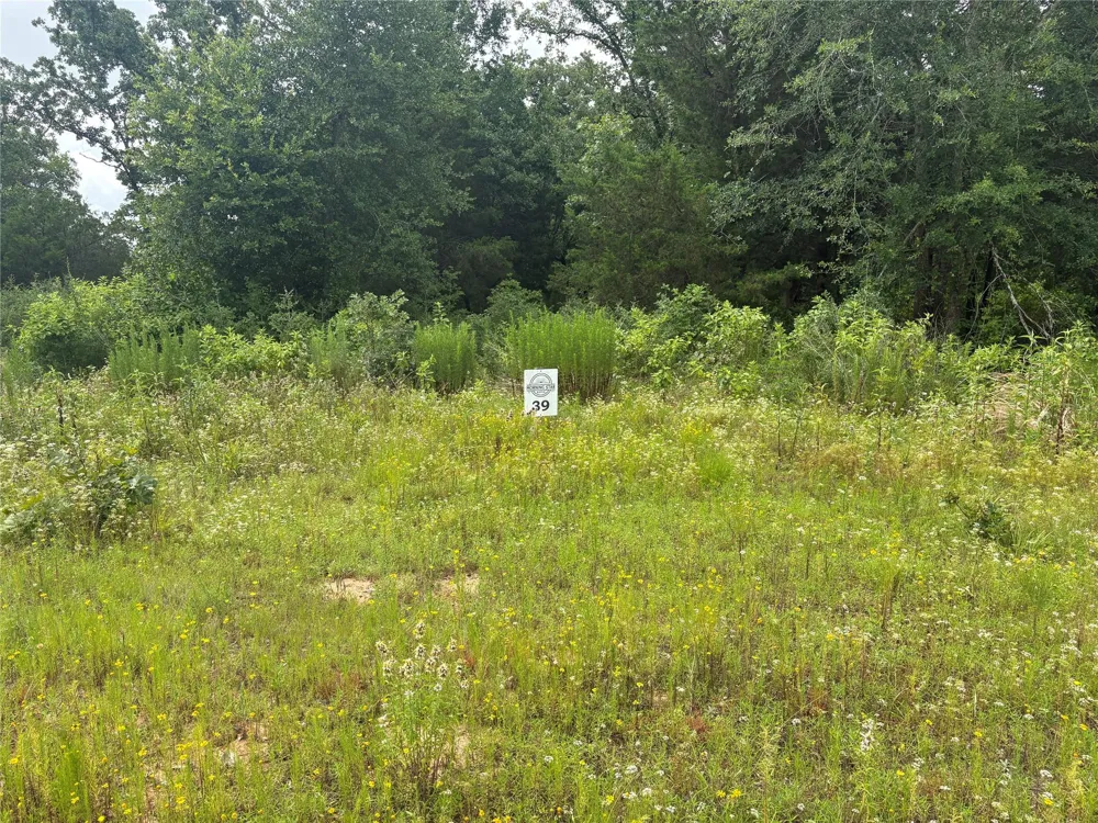 12 Fm 489 E Fairfield, TX 75840