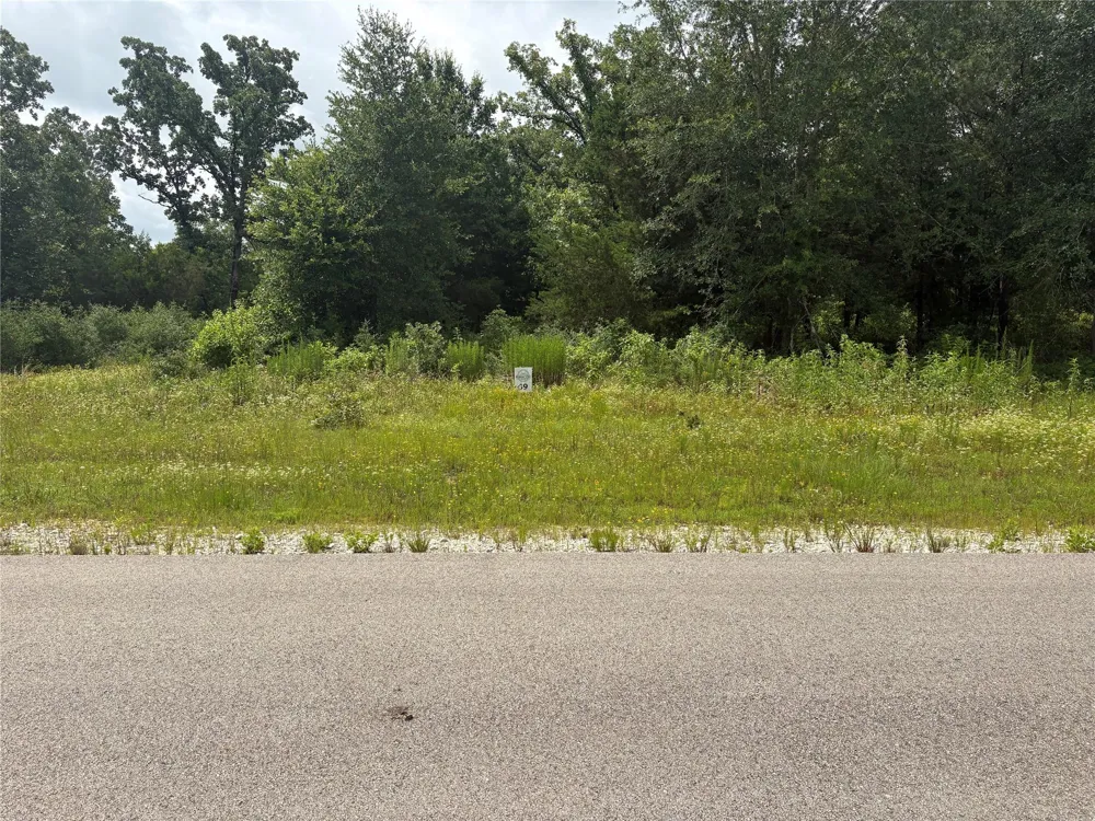 12 Fm 489 E Fairfield, TX 75840