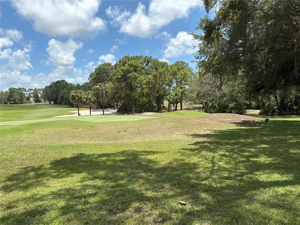9450 MISSISSIPPI RUN Weeki Wachee, FL 34613