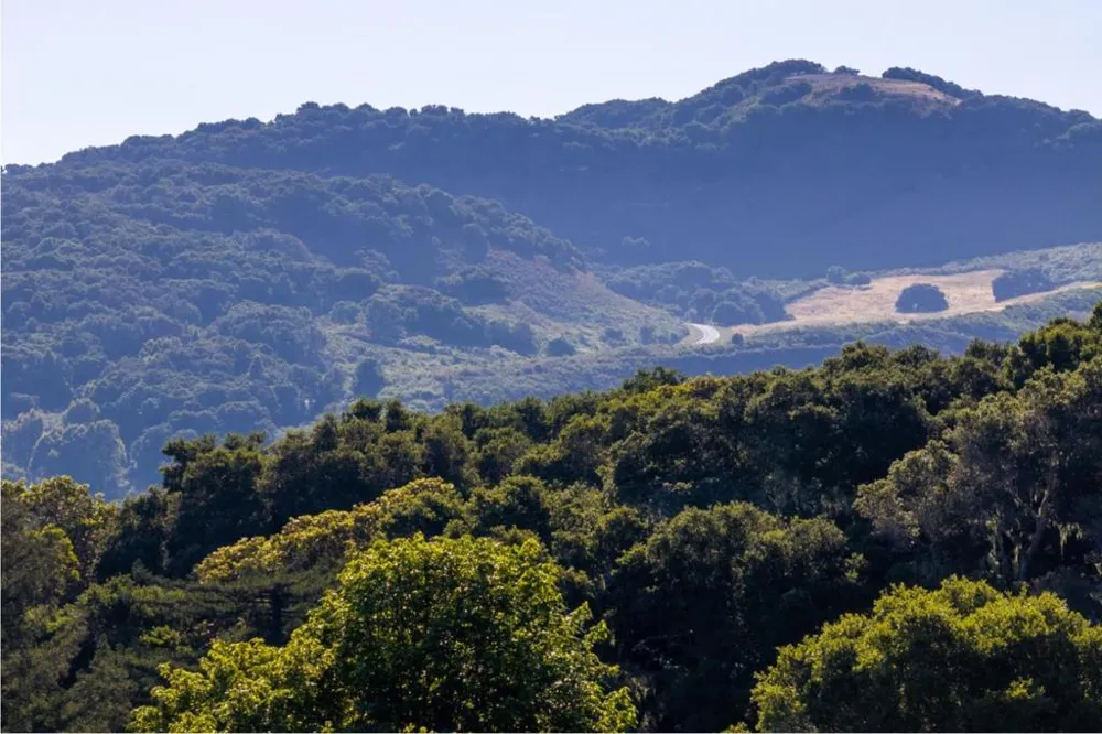 15 Potrero Trail (Lot 188) Carmel, CA 93923