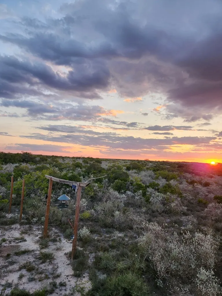 Sendero Creek Ranch #4 San Diego, TX 78384