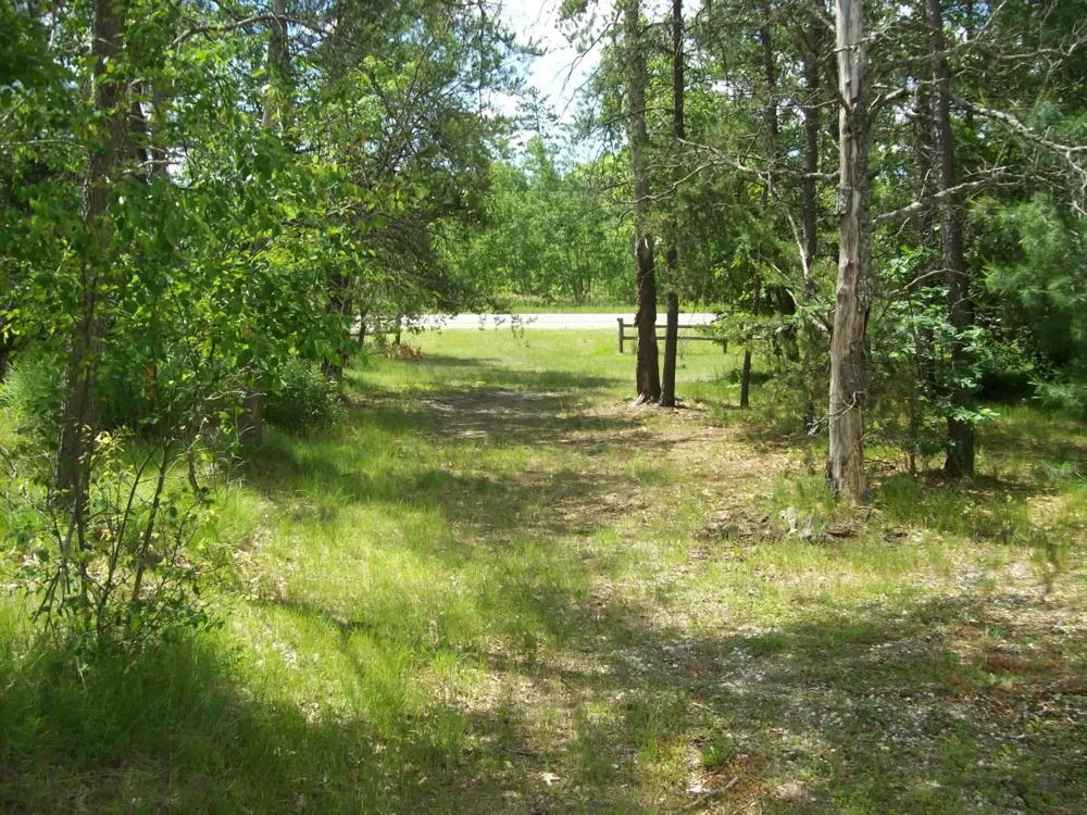 104 Mosher Road Richfield Township, MI 48656