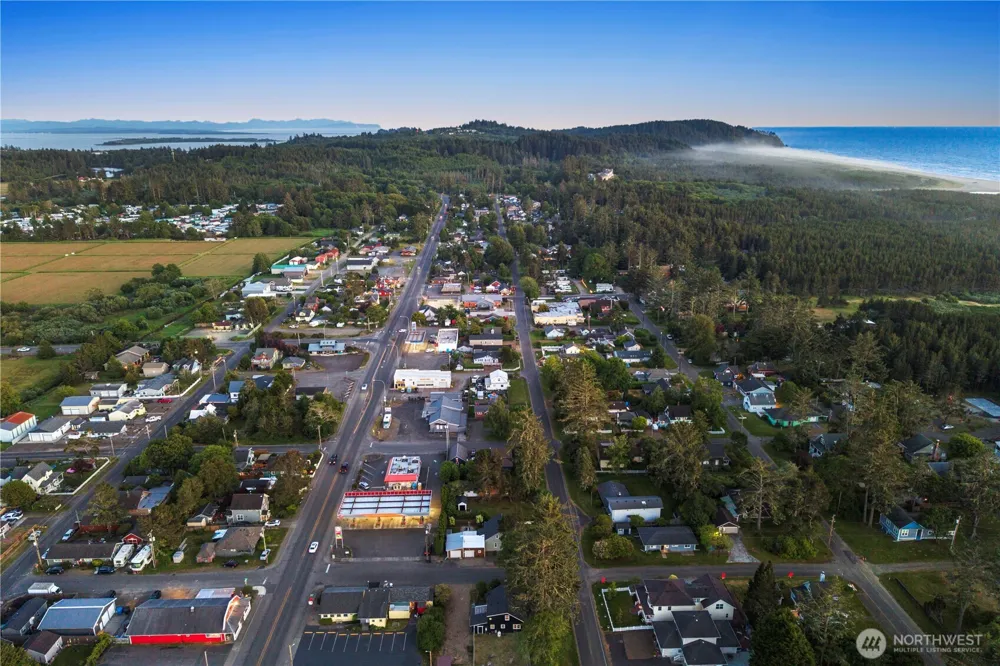 4202 L PLACE Seaview, WA 98641