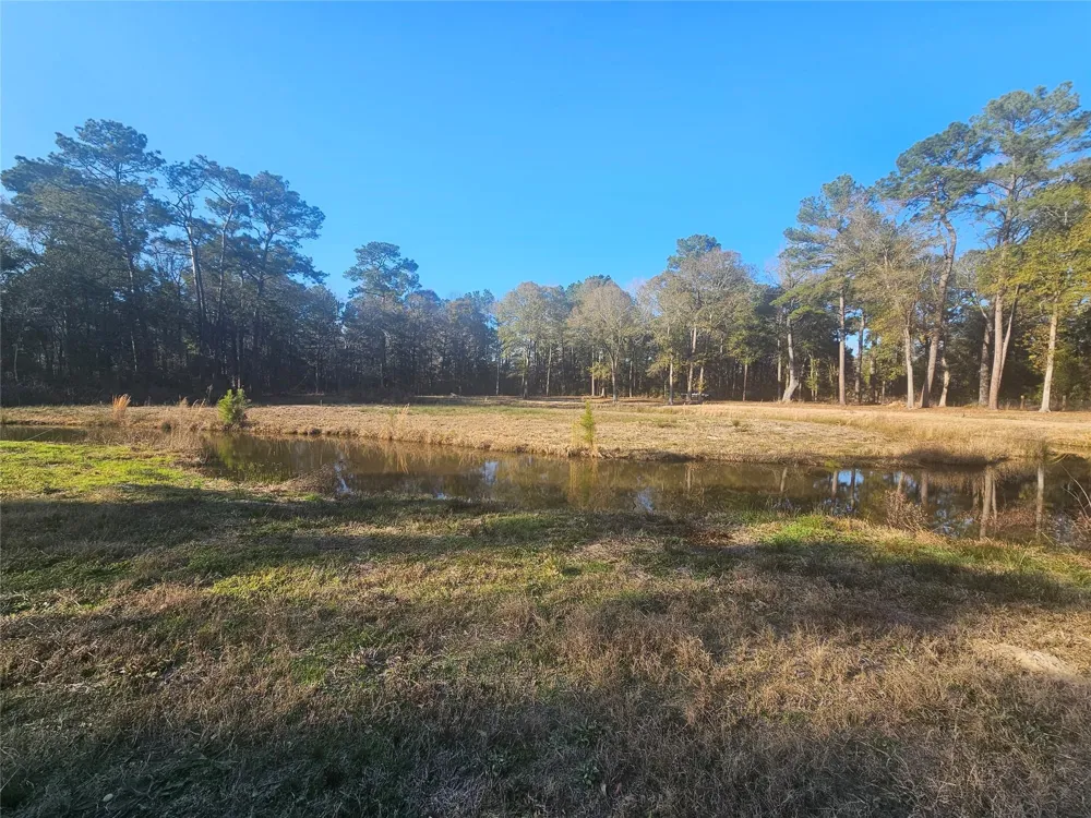 1325 Fm 223 Road Shepherd, TX 77371