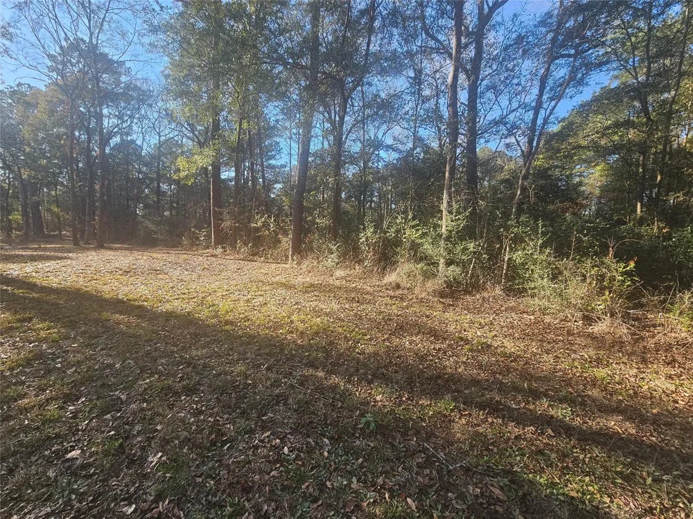 1325 Fm 223 Road Shepherd, TX 77371