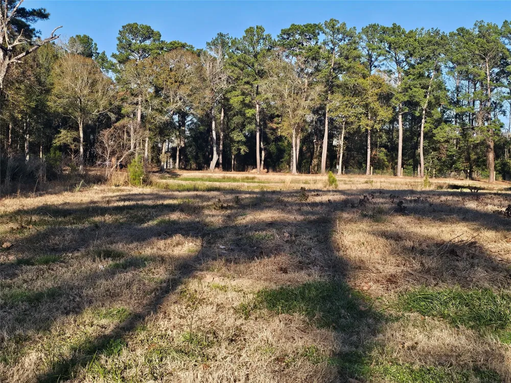 1325 Fm 223 Road Shepherd, TX 77371