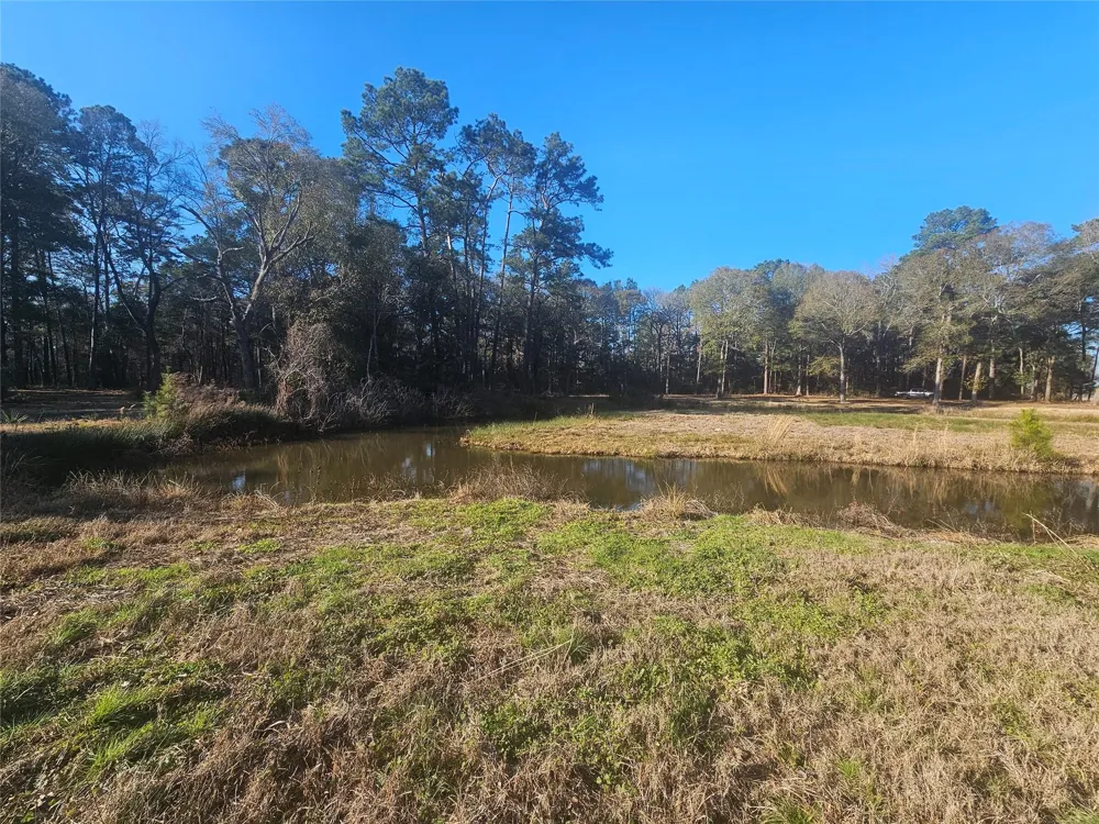 1325 Fm 223 Road Shepherd, TX 77371