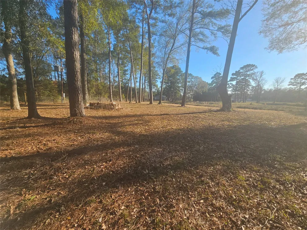 1325 Fm 223 Road Shepherd, TX 77371