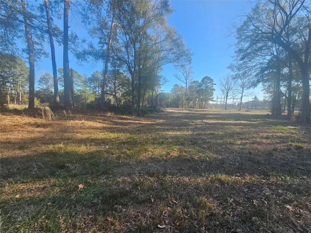 1325 Fm 223 Road Shepherd, TX 77371