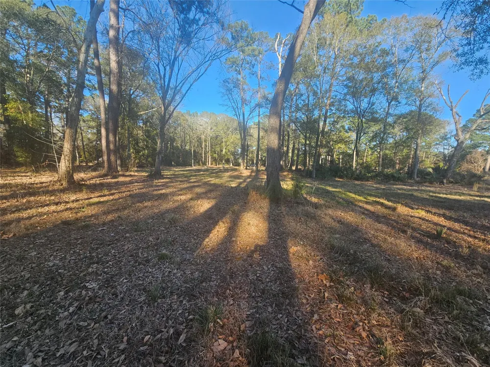 1325 Fm 223 Road Shepherd, TX 77371