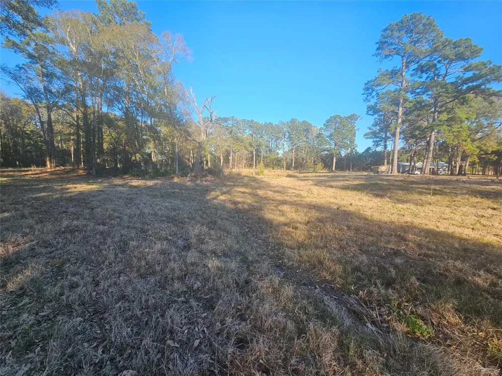 1325 Fm 223 Road Shepherd, TX 77371