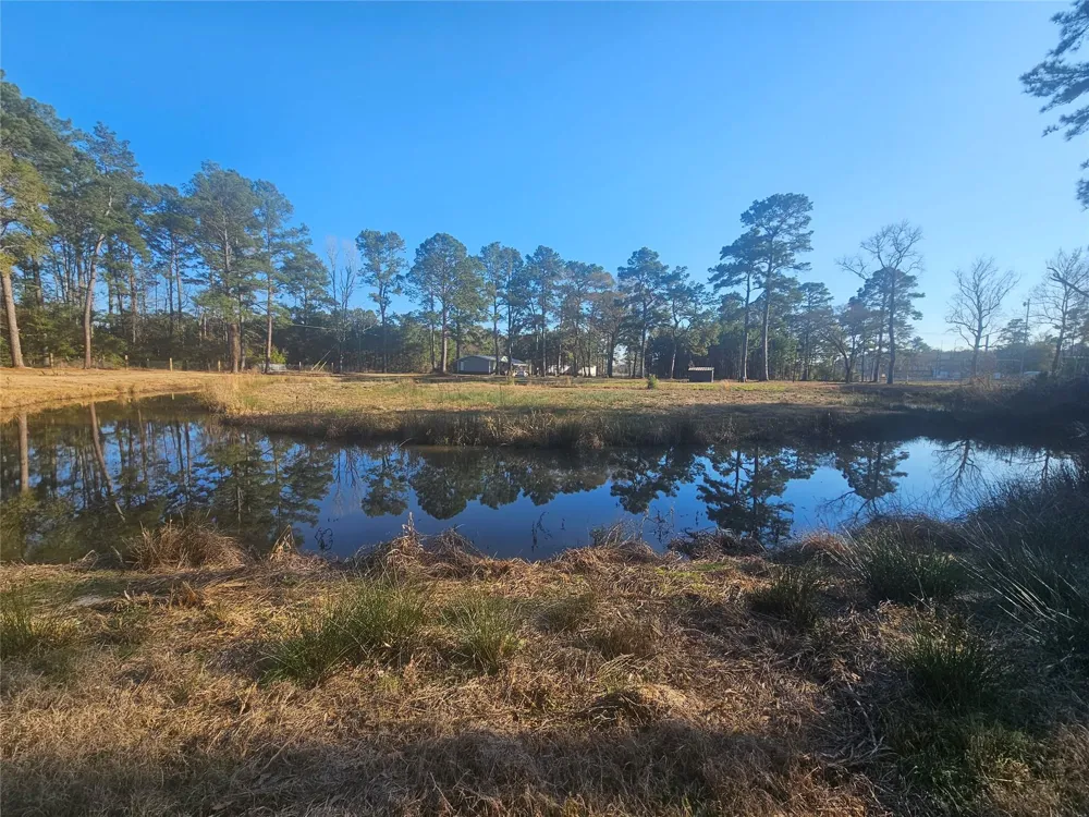 1325 Fm 223 Road Shepherd, TX 77371