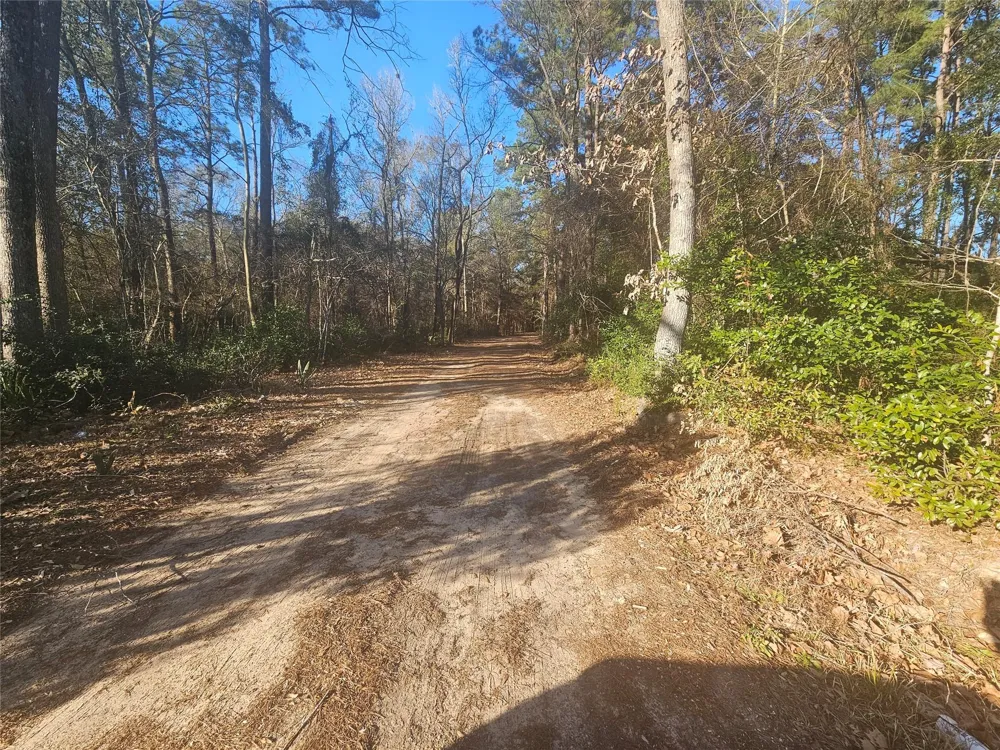 1325 Fm 223 Road Shepherd, TX 77371